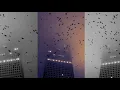 Akira Yamaoka - Alone in the Town