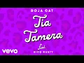 Download Lagu Doja Cat - Tia Tamera ft. Rico Nasty