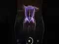 Welcome to new technology