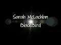 Blackbird- Sarah McLachlan + Lyrics