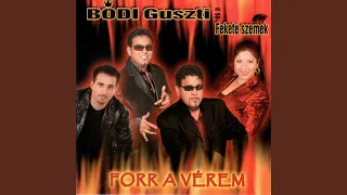 Download Bódi Mix MP3