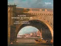 Haydn: String Quartet in D Major, Op. 64 No. 5 "The Lark": I. Allegro moderato