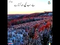 Download Lagu insan ki kaun taklif ho karta hai || WhatsApp status Islamic status ❤️💝🌹💞