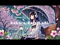 Download Lagu Sakura Rain: Japanese LoFi for Study | 桜雨: 勉強用LoFi【作業用・睡眠用BGM】
