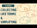 Collecting Like Terms and Simplifying Expressions