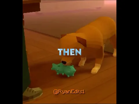 Psychology: Why your dog brings toys 🥹❤️‍🩹❤️‍🩹