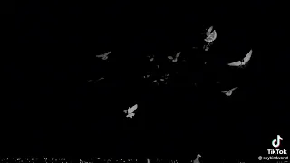 عبدالباسط حموده     كوبلية    ياليل الجرح قالي دندنها
