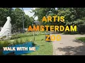 Download Lagu Artis Amsterdam Zoo - Walk With Me