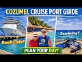 Best Things to Do in Cozumel on a Cruise Beach Clubs Snorkelling Port Tips