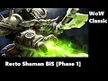 Best in Slot Gear Guide For Restoration Shaman WoW Classic