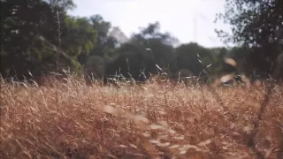 صلى عليك الله يا علم الهدى دندنها