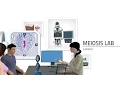 Labster Virtual Lab Meiosis Simulation