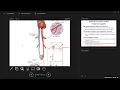 Day 1 BIO 211 720 Lecture FA2024 Endocrine System