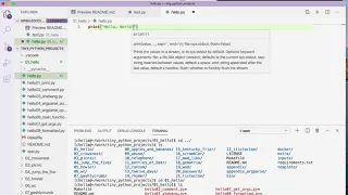 Tiny Python Projects Ch 1 Creating a new file