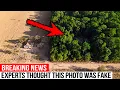 This Farmer Spent 15 Years Doing What Everyone Said Was Impossible