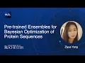 Pre-trained Ensembles for Bayesian Optimization of Protein Sequences Ziyue Yang