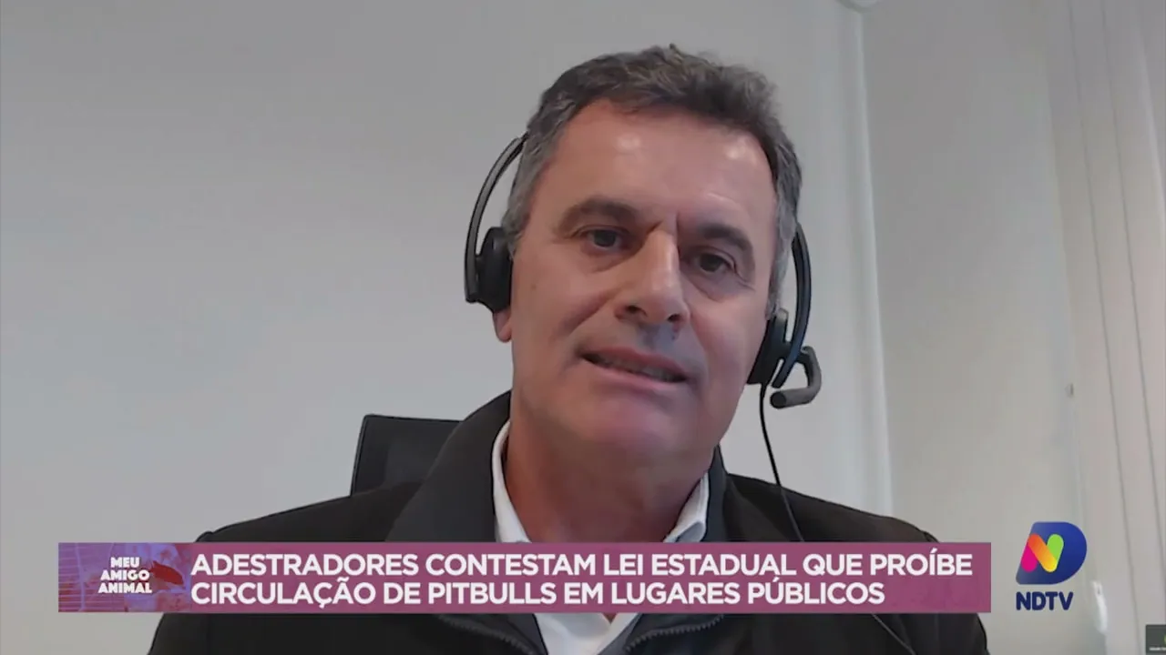 Meu Amigo Animal: lei estadual proíbe circulação de pitbulls em lugares públicos