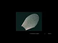 Birdie - León Larregui