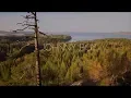 Download Lagu Twenty One Pilots - Johnny Boy (Animated Lyrics Video)