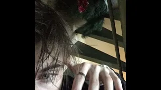 سبب كل دموعي انت مسرع    دندنها