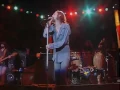 Download Lagu The Black Crowes...Hard To Handle(Live 1995)