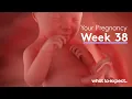 38 Weeks Pregnant - What to Expect