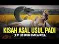 Download Lagu Asal-usul Padi Dewi Sri | Sejarah \u0026 Legenda Nusantara Indonesia