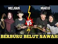 Download Lagu TANTANGAN BERBURU BELUT DI SAWAH SAMPE MALEM