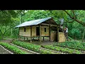 Download Lagu CEO leaves the city for the forest, building a kitchen, a wood-fired stove, and living in nature