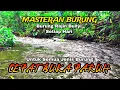 Download Lagu Semua Jenis Burung Cepat Buka Paruh, Suara air untuk terapi burung, suara hutan alam liar