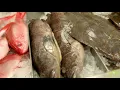 Seafood Market Raleigh - Earp s Seafood Market