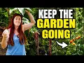 KEEP Your Garden Producing Until Frost