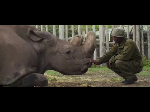 Hot Docs 2019 Trailers: KIFARU