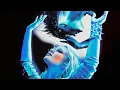 Zara Larsson, VIZE   Can't Tame Her VIZE Remix