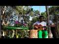 Dia Clarear Banda do Mar (cover) - Com Letra e Cifra na descrição do vídeo