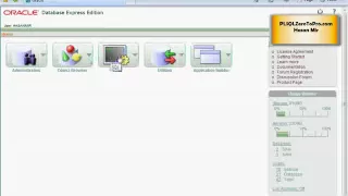 Oracle - Variables
