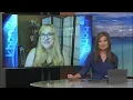 BBB Fake customer reviews
