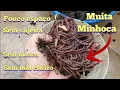 Lagu Como criar minhoca brava, minhoca Califórnia e  lesma em balde.