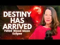 The March 3 Blood Moon Will Change Your Life Eclipse Forecast All 12 Signs