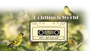 صوت النعار الطرنجان لعشاق وهواة الصيد تسجيل صافي وبدقة عالية 