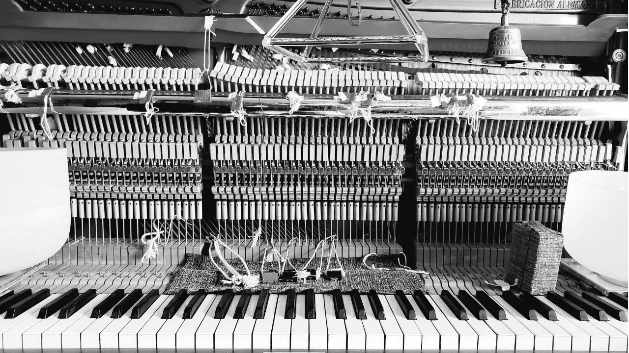 Entre lo olvidado y lo desconocido, Gustavo Twardy