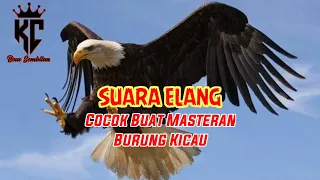 Download Masteran Elang Buat Burung Juara MP3