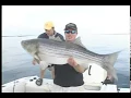 OTW Classic Fishing Hickory Shad for Giant Stripers 2005