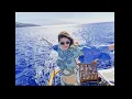 Alexandra Daddario Captured Shot Glimpses