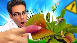 Encontré una PLANTA CARNÍVORA y METÍ EL DEDO