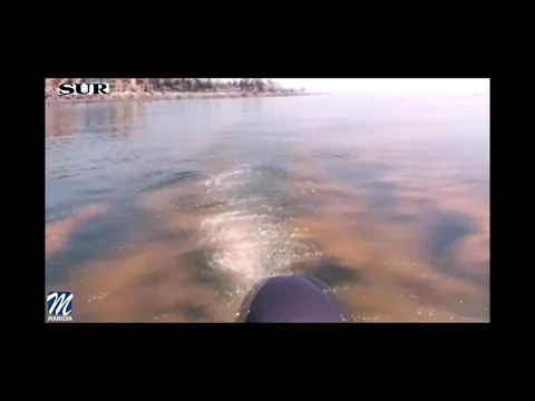 YouTube player