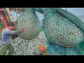 Lagu MASSIVE FISHING DAY 🤩🌊 Boat Filled with sardine Fish Catch | UNCUT VIDEO‼️.