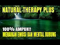 Download Lagu 🔴Terapi Burung Macet Bunyi, Terapi Semua Jenis Burung Biar Gacor Download Lagu 🔴Terapi Burung Macet Bunyi, Terapi Semua Jenis Burung Biar Gacor