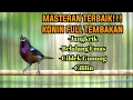 Download Lagu KONIN GACOR FULL ISIAN CILILIN BELALANG JANGKRIK CIBLEK GUNUNG AMPUH BUAT MASTERAN