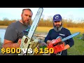 Testing the Cheapest Top Handle Chainsaw on Amazon